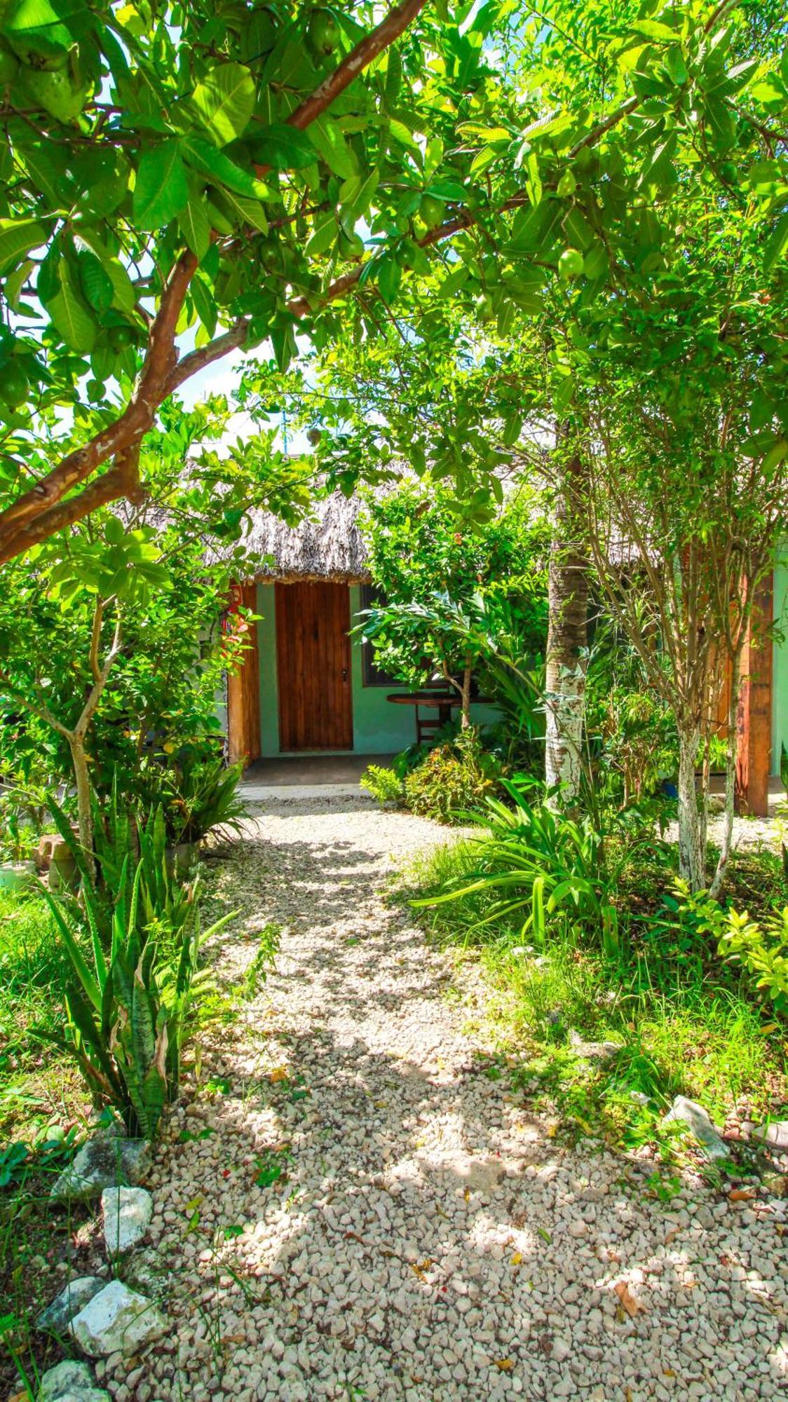 Las Palmas Bacalar Kültér fotó