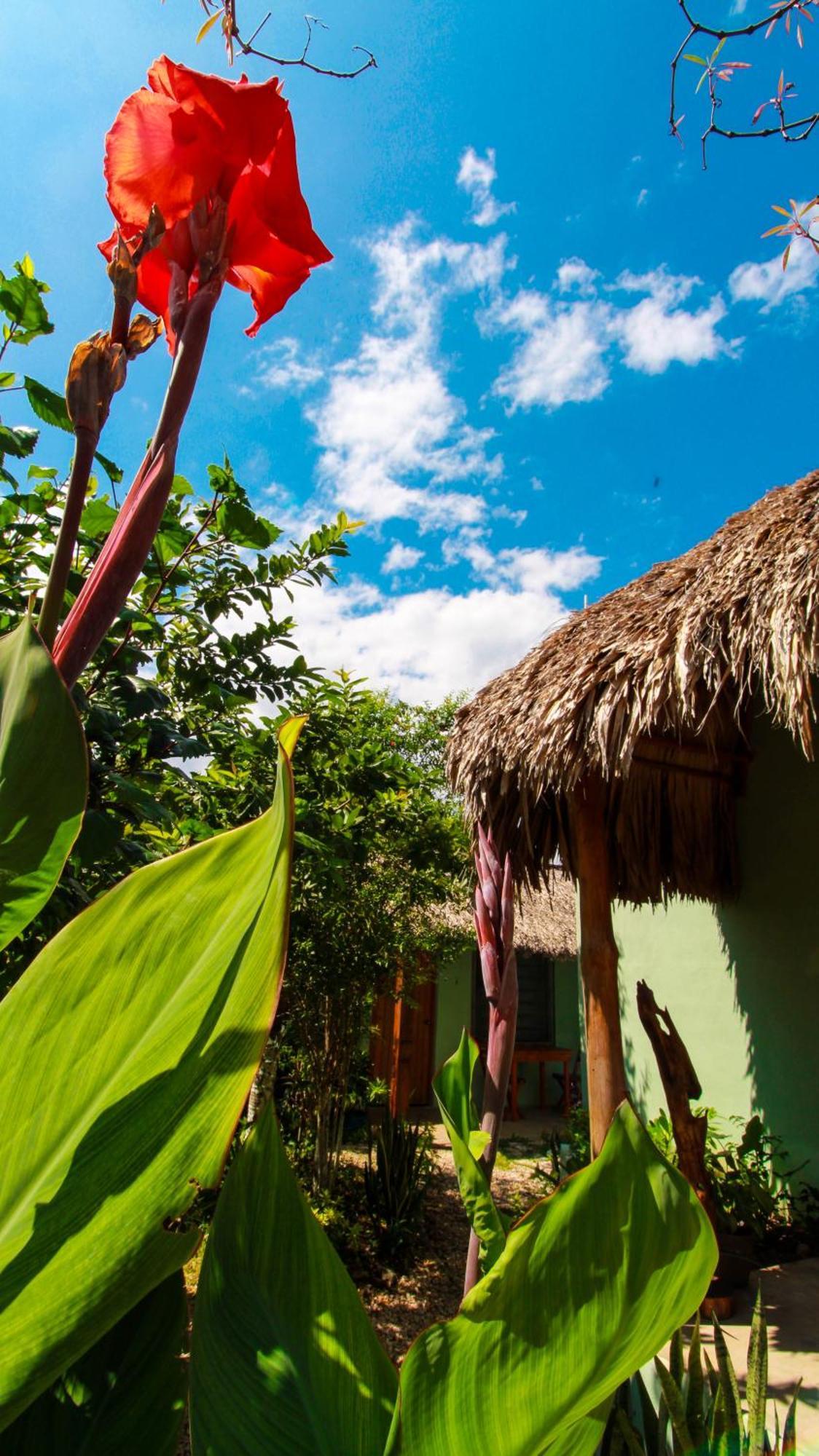 Las Palmas Bacalar Kültér fotó