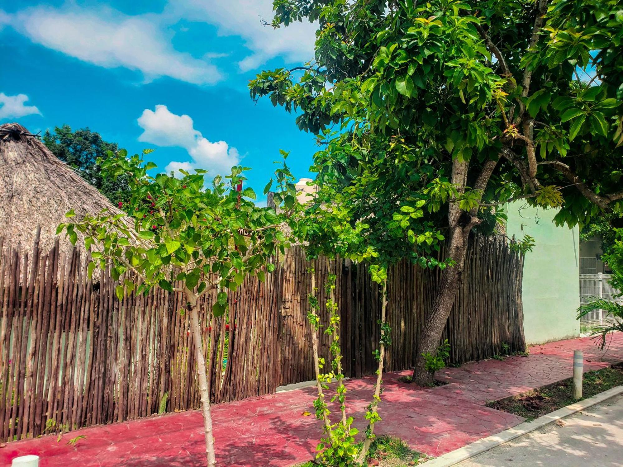 Las Palmas Bacalar Kültér fotó